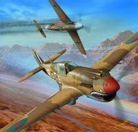 Curtiss Tomahawk IIB - Image 1